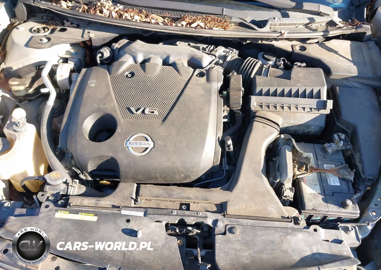 2009 Nissan Maxima 3.5 S VIN:1N4AA51E79C848743 - 10