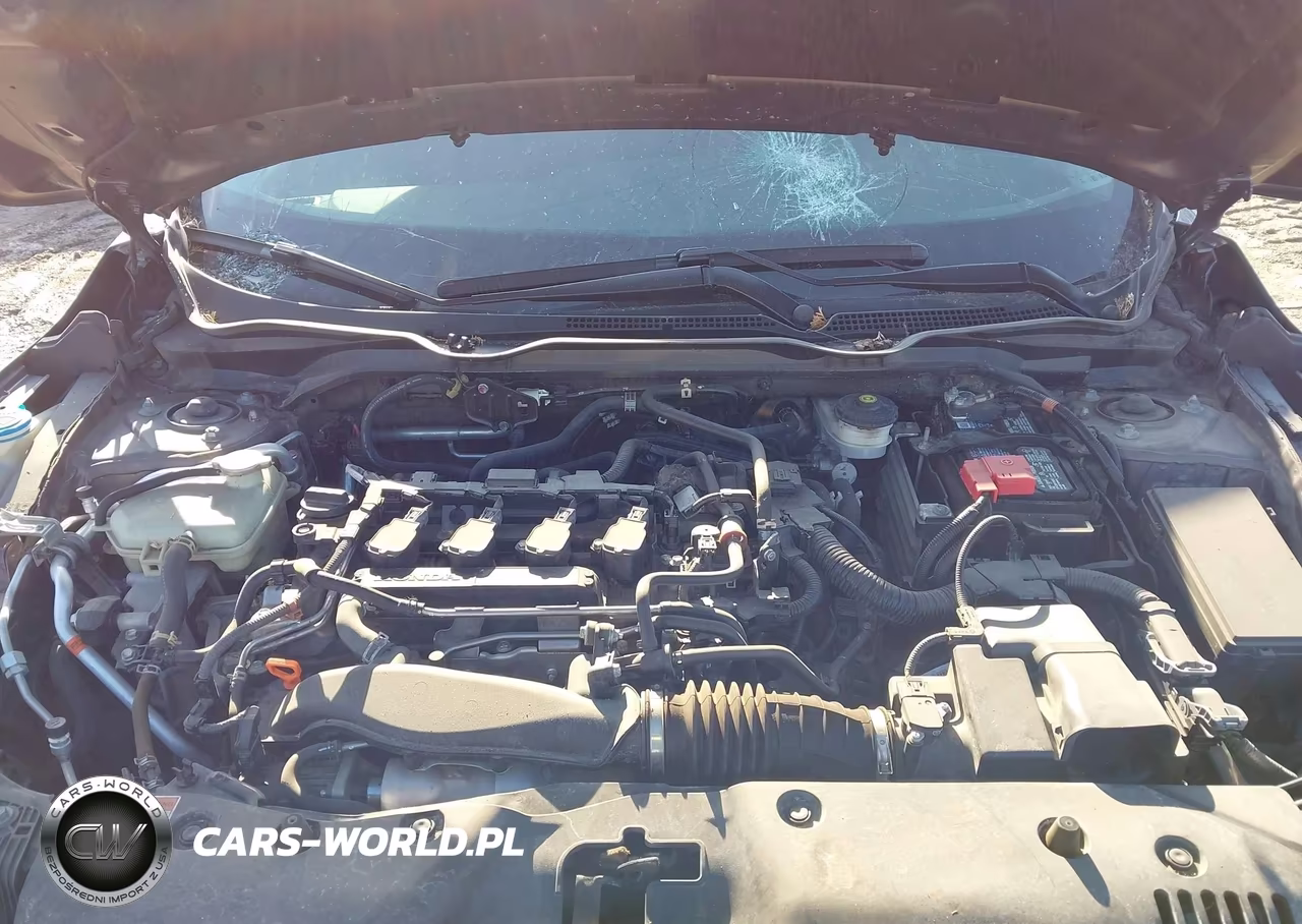 2020 Honda Civic Ex VIN:19XFC1F39LE024527 - 10