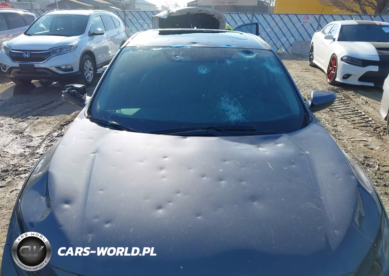 2020 Honda Civic Ex VIN:19XFC1F39LE024527 - 6