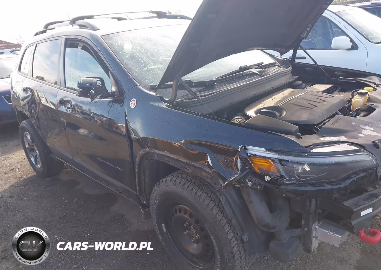 2019 Jeep Cherokee Trailhawk 4X4 VIN:1C4PJMBX0KD217945 - 18