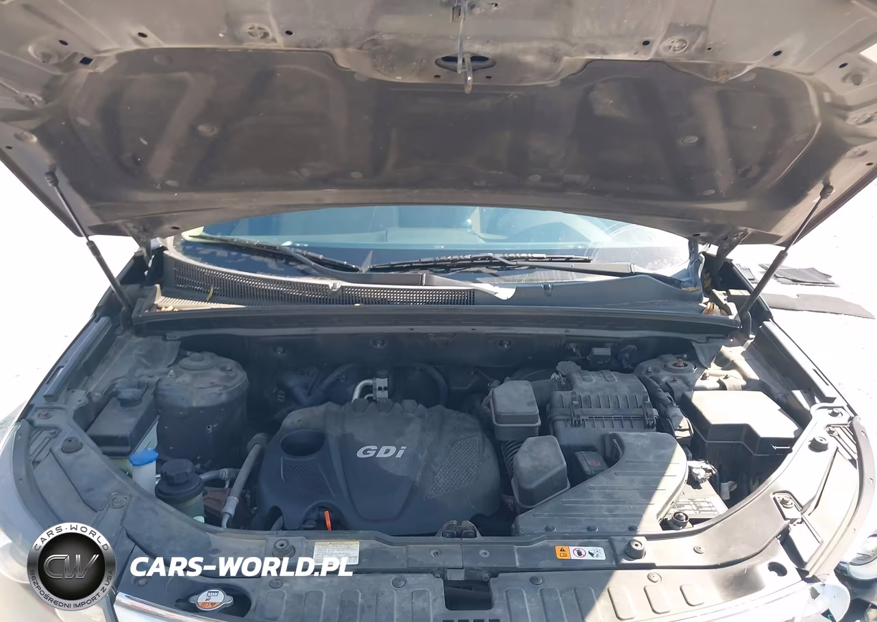 2013 Kia Sorento Ex VIN:5XYKU3A64DG419891 - 10