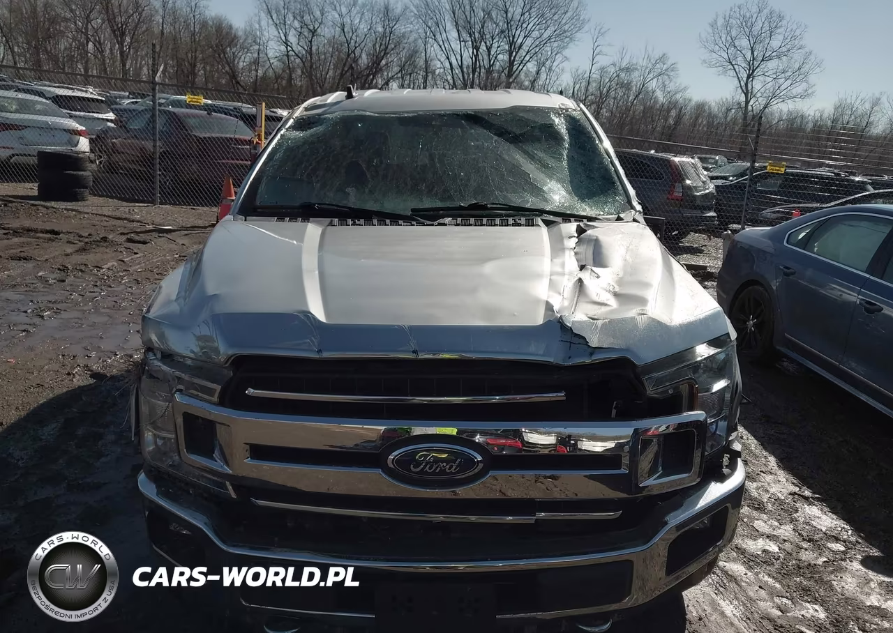 2019 Ford F-150 Xlt VIN:1FTEW1E44KKE05503 - 12