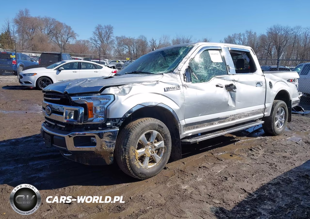 2019 Ford F-150 Xlt VIN:1FTEW1E44KKE05503 - 2