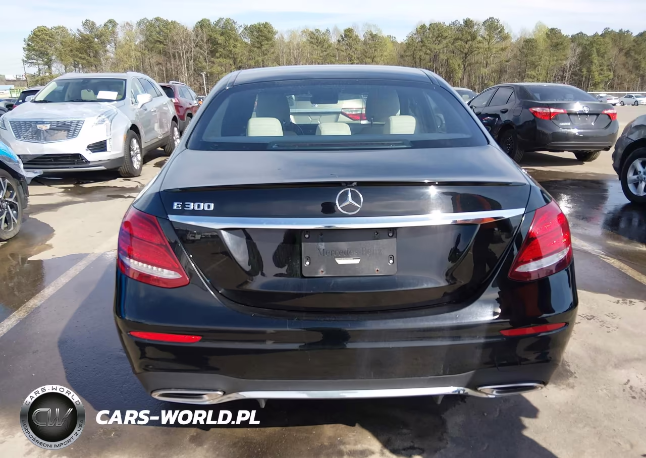 2017 Mercedes-Benz E 300 VIN:WDDZF4JB2HA236271 - 17