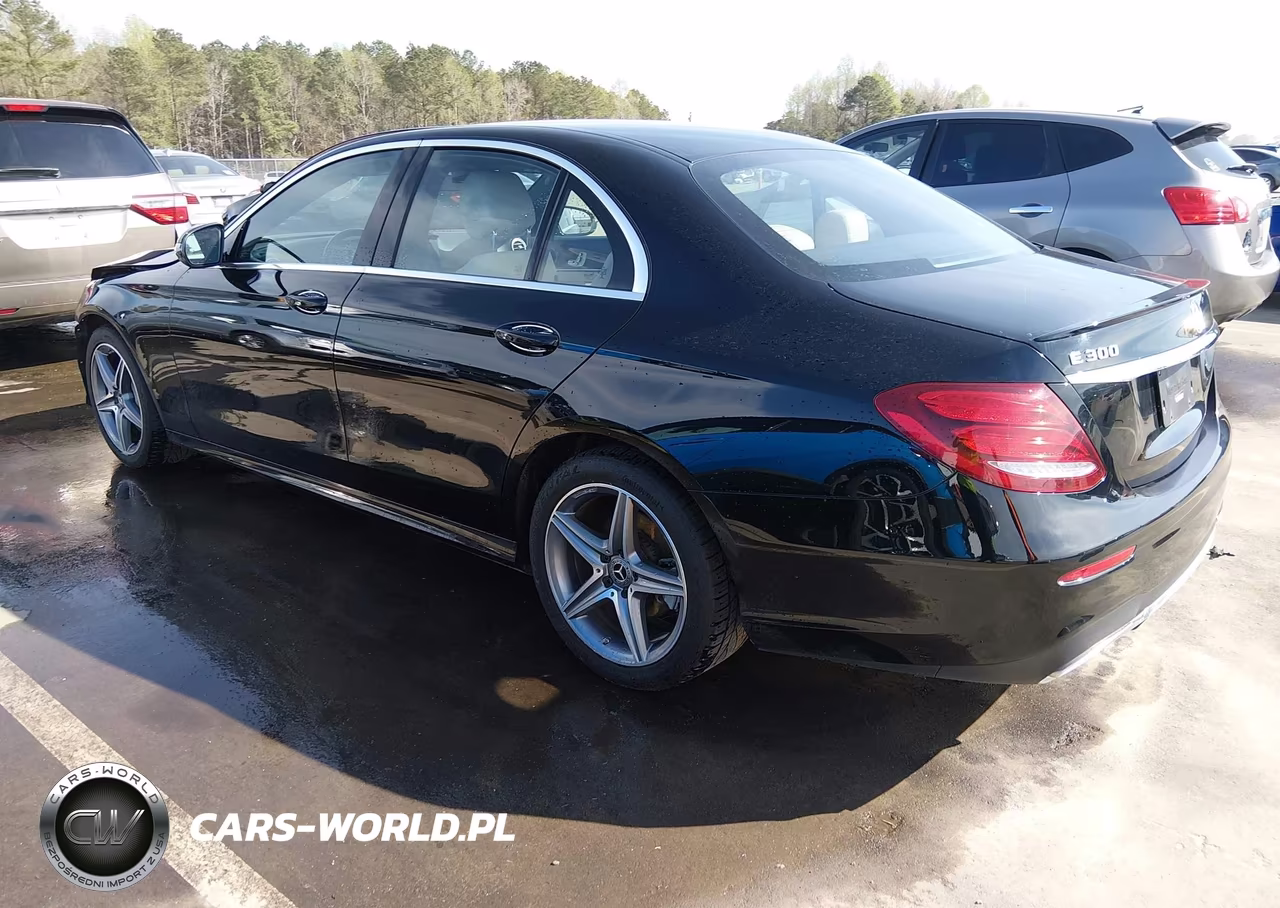 2017 Mercedes-Benz E 300 VIN:WDDZF4JB2HA236271 - 3