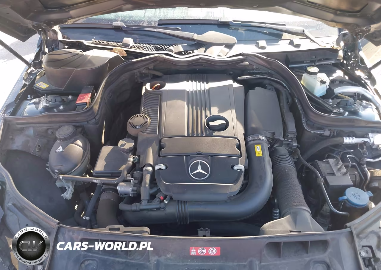 2014 Mercedes-Benz C 250 Sport VIN:WDDGF4HB2EG246451 - 10