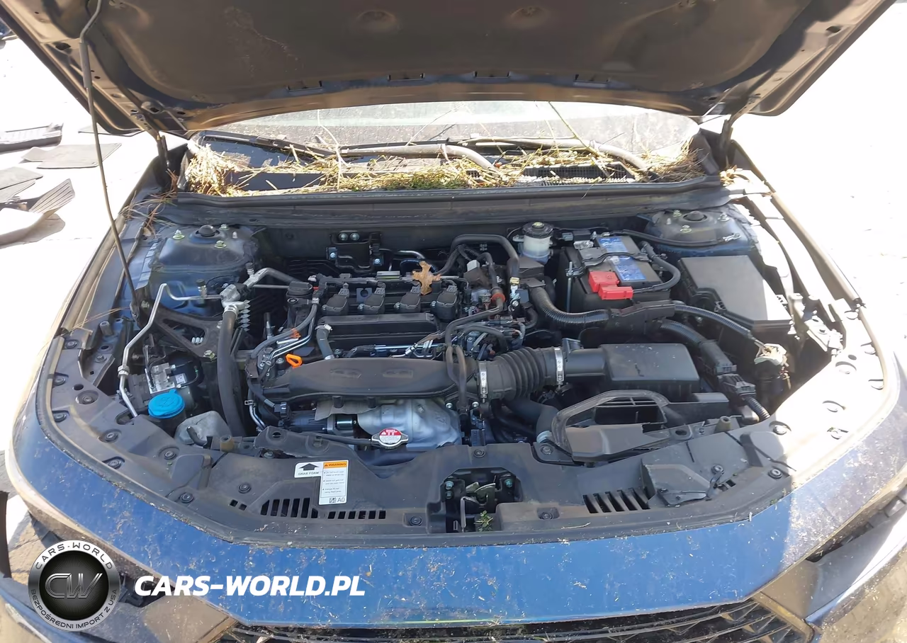 2024 Honda Accord Ex VIN:1HGCY1F32RA092654 - 10