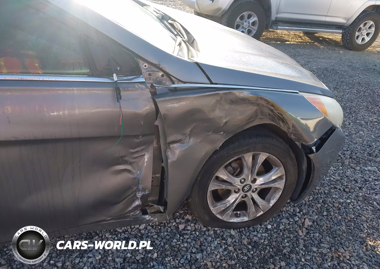 2011 Hyundai Sonata Gls VIN:5NPEB4AC0BH219787 - 6