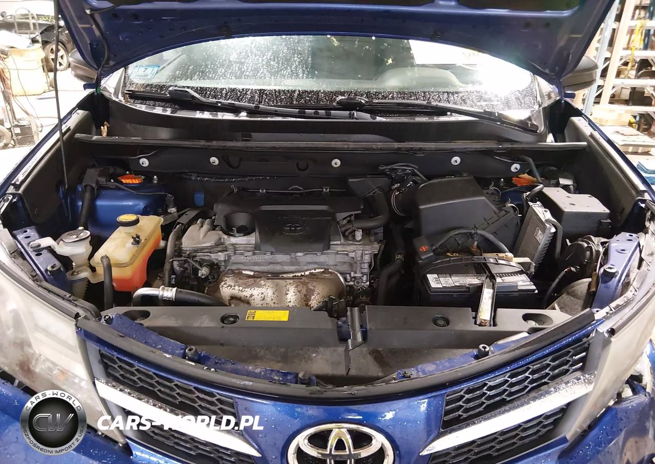 2015 Toyota Rav4 Le VIN:2T3BFREV0FW336767 - 10