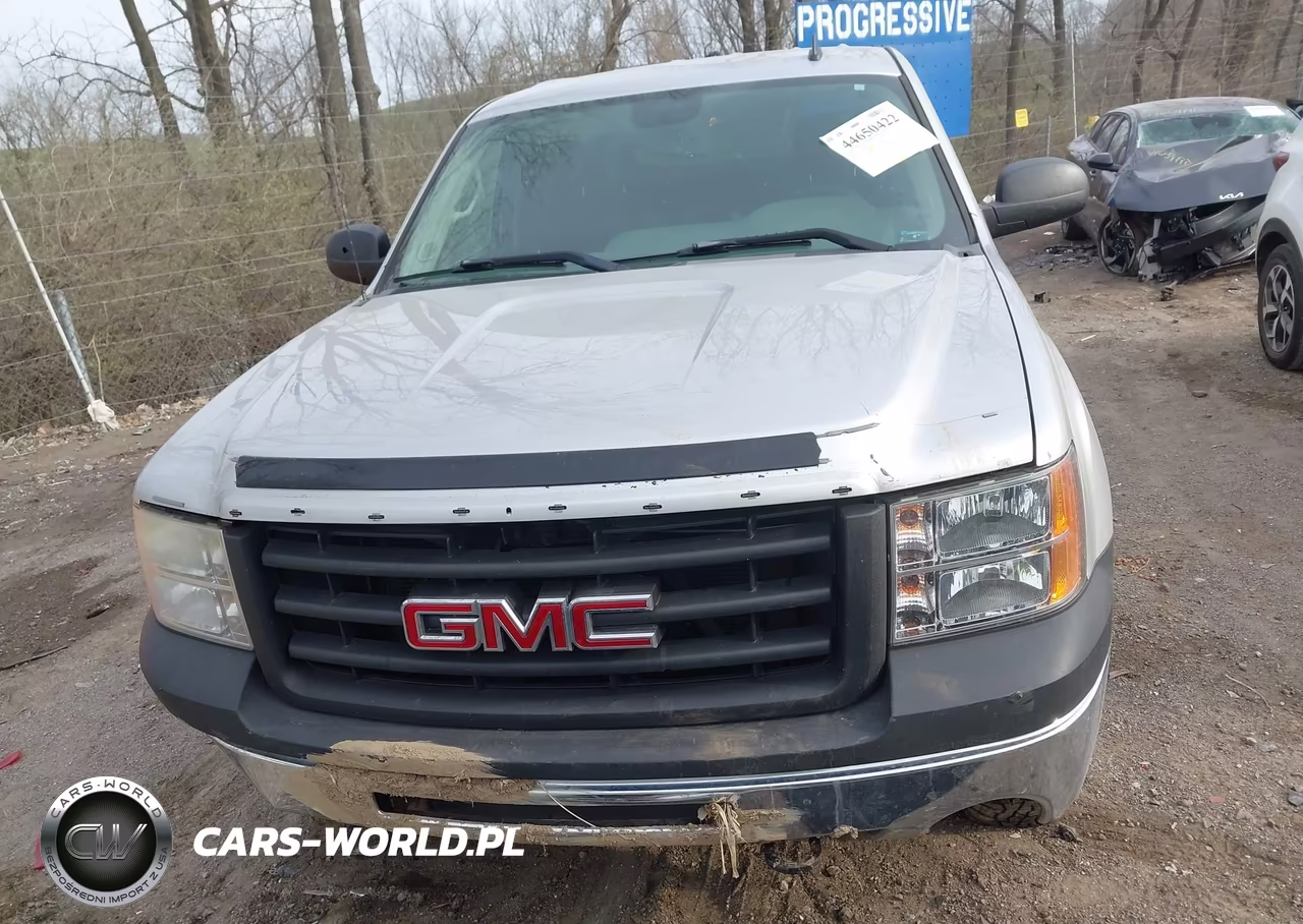2010 GMC Sierra 1500 Work Truck VIN:3GTRKTEA0AG136310 - 12
