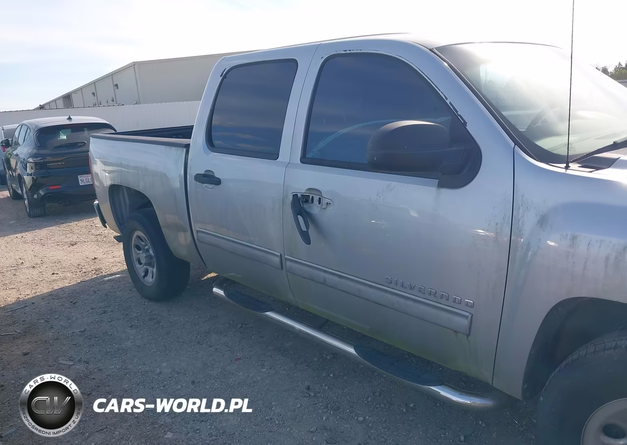 2010 Chevrolet Silverado 1500 Lt VIN:3GCRCSEA1AG209059 - 6