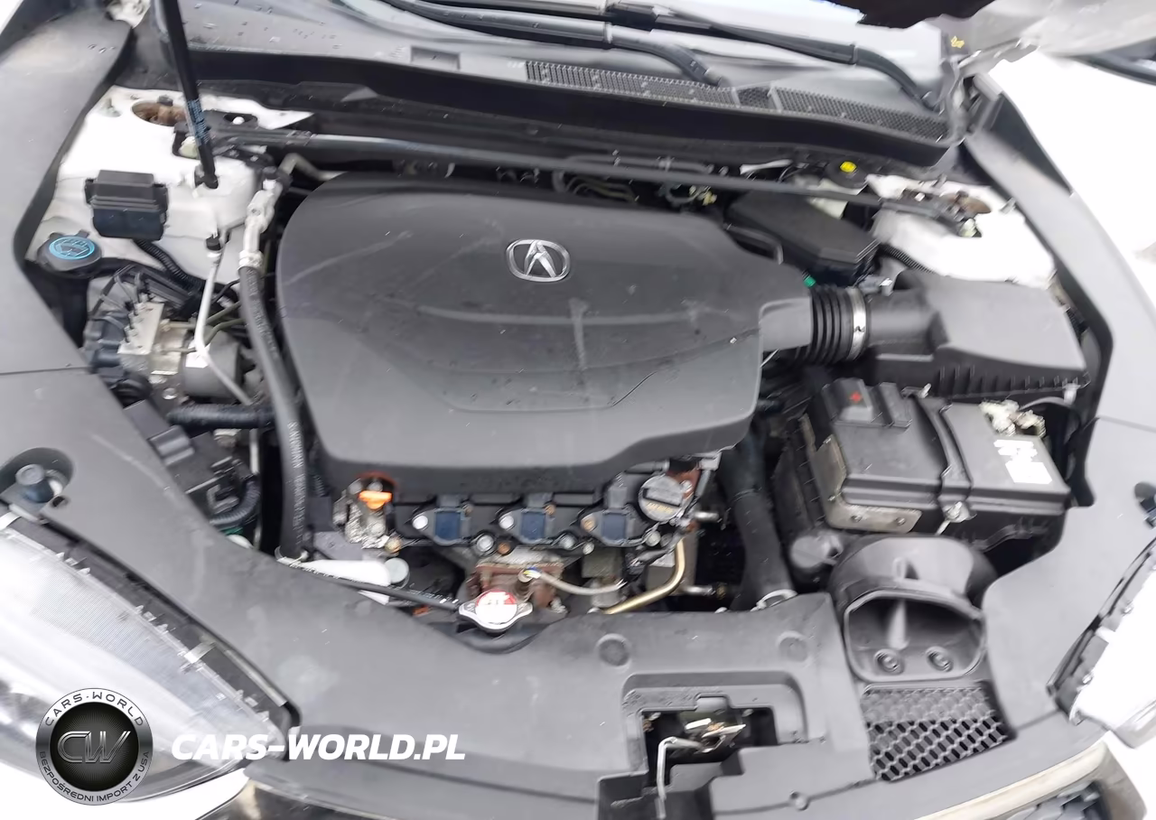 2020 Acura Tlx A-Spec-A-Spec W-Red Leather VIN:19UUB3F6XLA003173 - 10