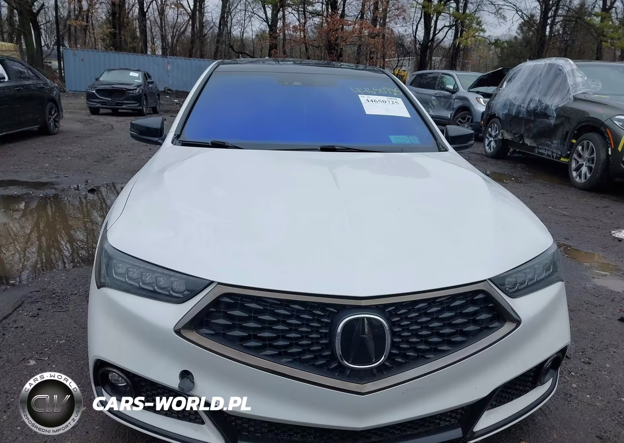 2020 Acura Tlx A-Spec-A-Spec W-Red Leather VIN:19UUB3F6XLA003173 - 12