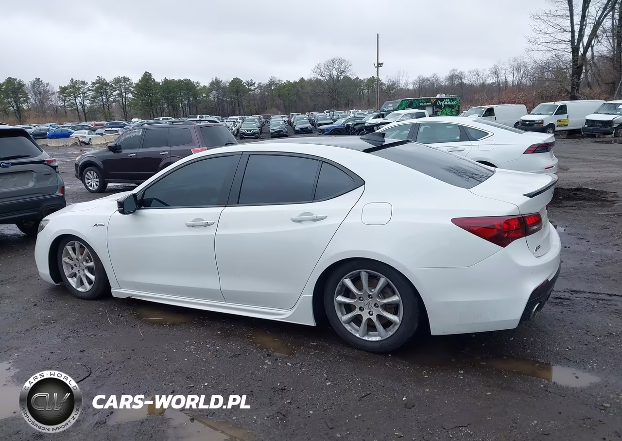 2020 Acura Tlx A-Spec-A-Spec W-Red Leather VIN:19UUB3F6XLA003173 - 14