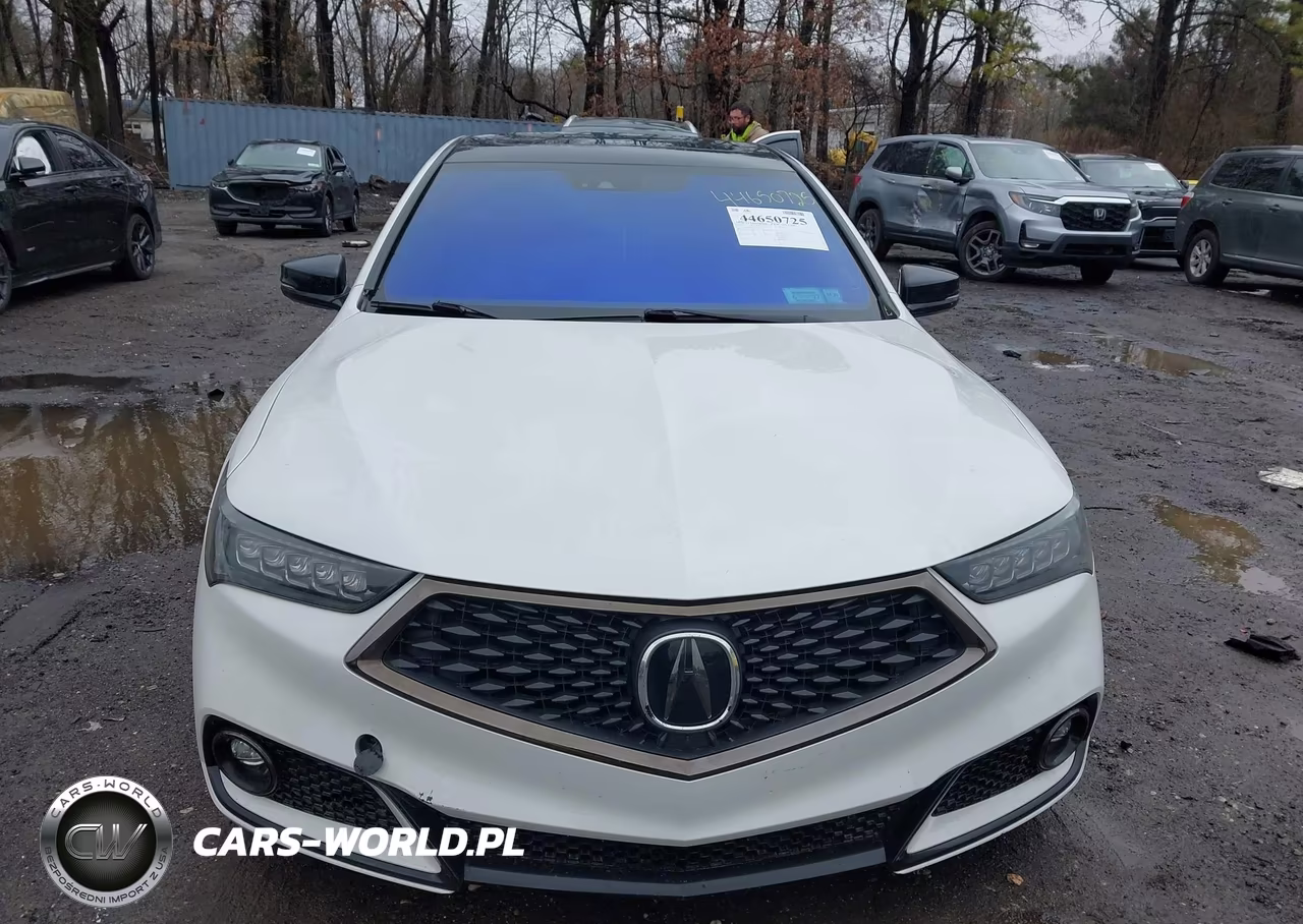 2020 Acura Tlx A-Spec-A-Spec W-Red Leather VIN:19UUB3F6XLA003173 - 6