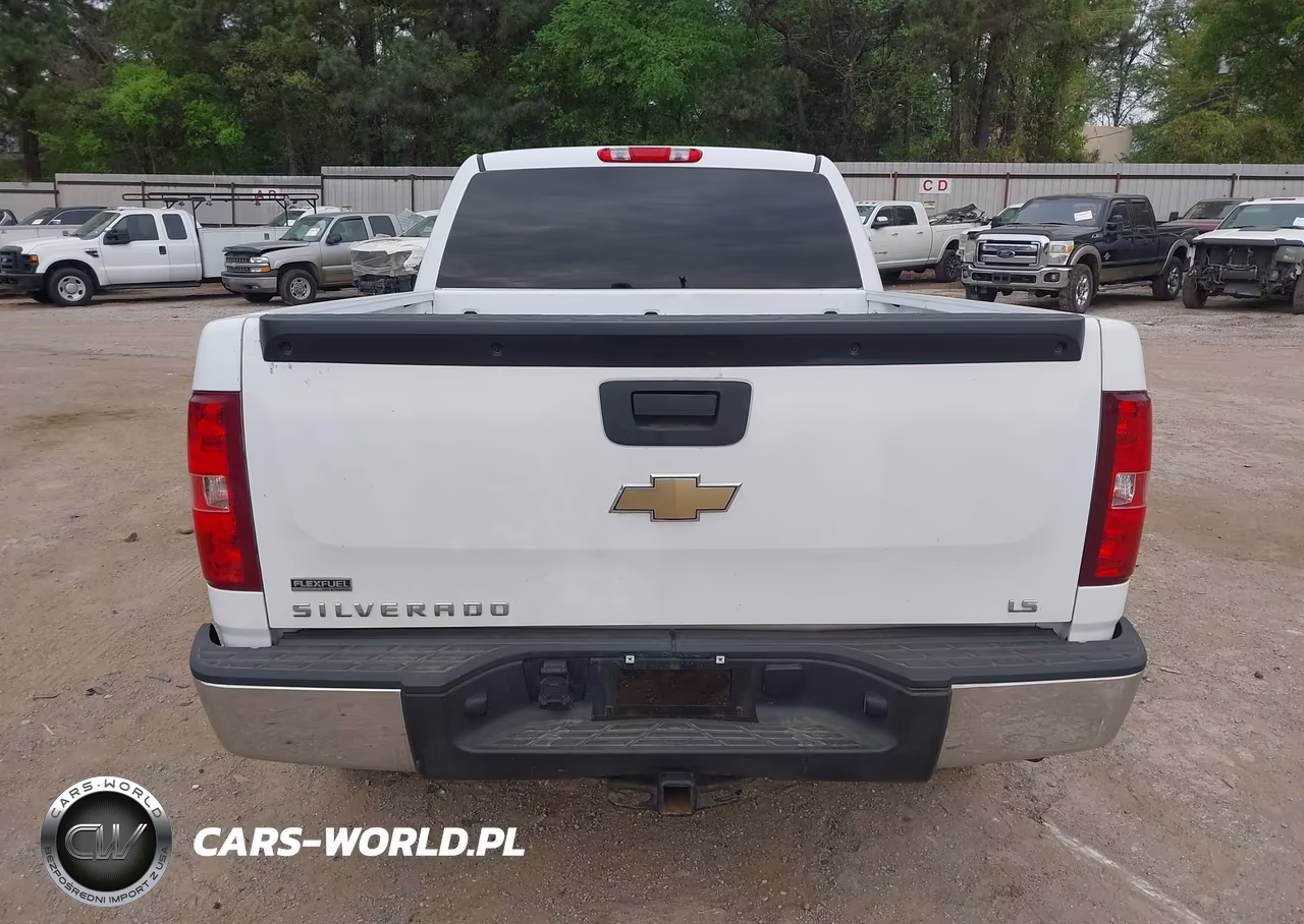 2011 Chevrolet Silverado 1500 Ls VIN:1GCRCREA1BZ254285 - 16