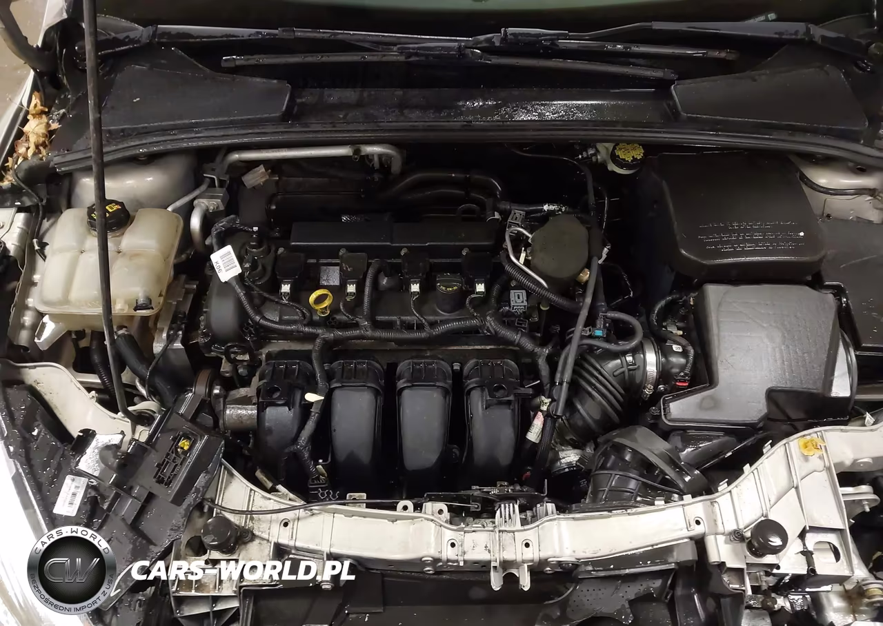 2015 Ford Focus Se VIN:1FADP3F2XFL242587 - 10