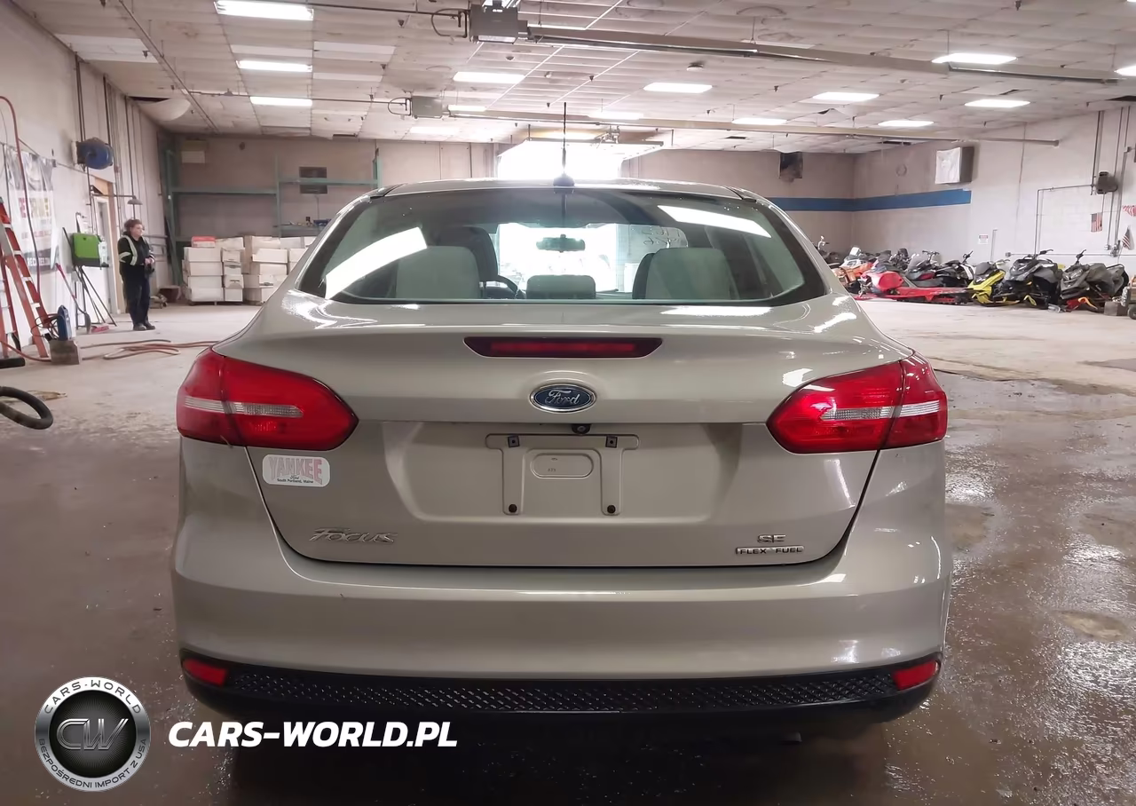 2015 Ford Focus Se VIN:1FADP3F2XFL242587 - 17