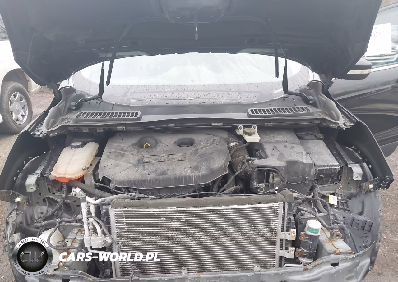 2013 Ford Escape Sel VIN:1FMCU0H99DUC69855 - 10