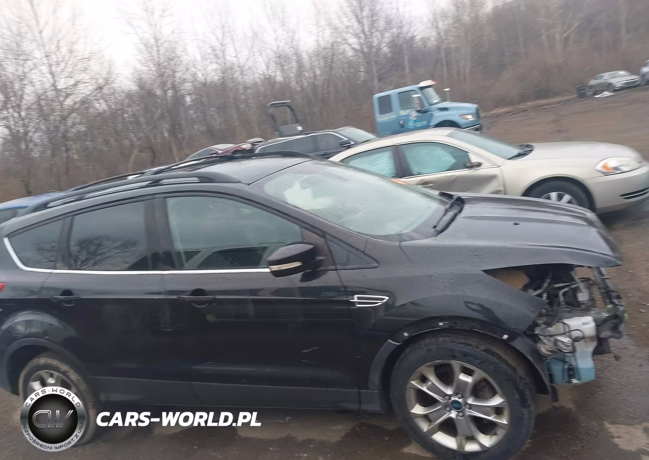 2013 Ford Escape Sel VIN:1FMCU0H99DUC69855 - 14