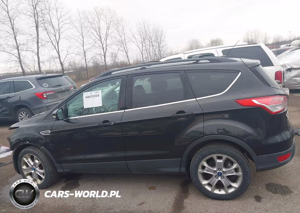 2013 Ford Escape Sel VIN:1FMCU0H99DUC69855 - 15