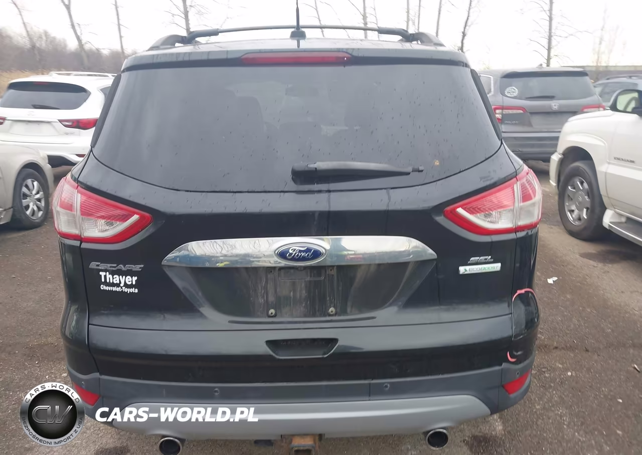 2013 Ford Escape Sel VIN:1FMCU0H99DUC69855 - 17