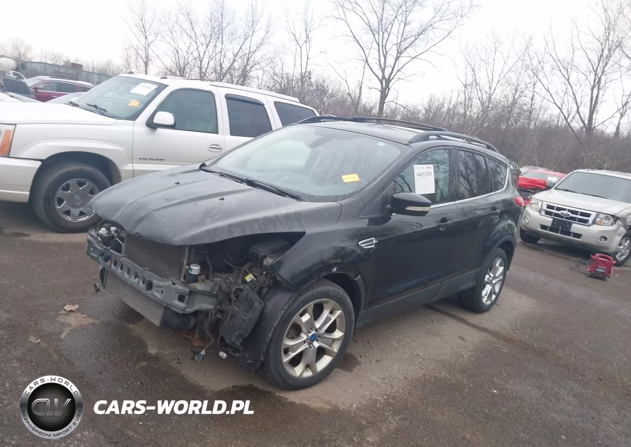 2013 Ford Escape Sel VIN:1FMCU0H99DUC69855 - 2
