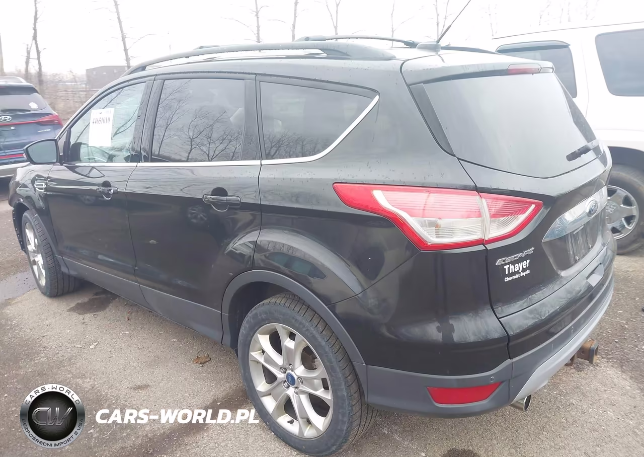 2013 Ford Escape Sel VIN:1FMCU0H99DUC69855 - 3