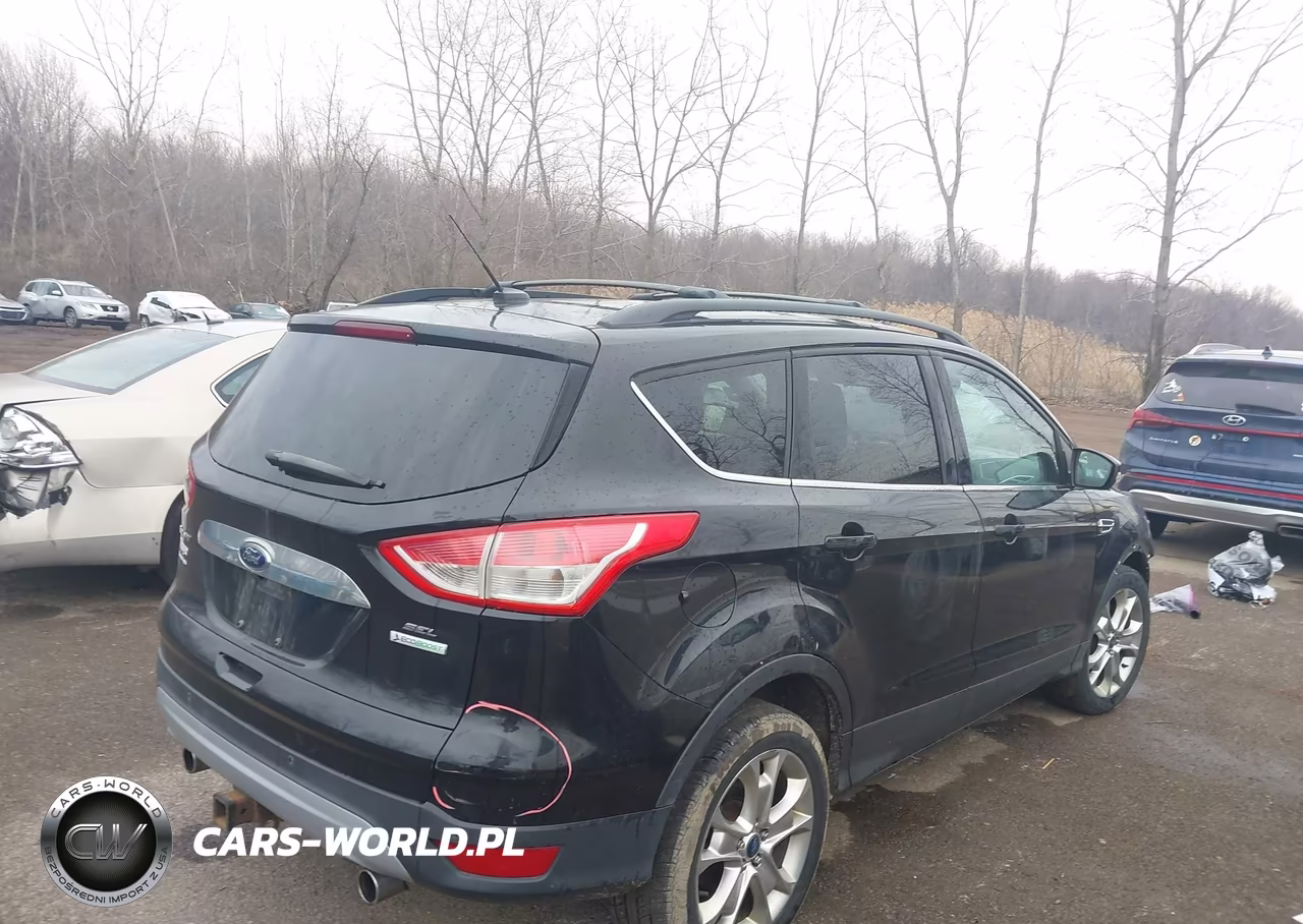 2013 Ford Escape Sel VIN:1FMCU0H99DUC69855 - 4