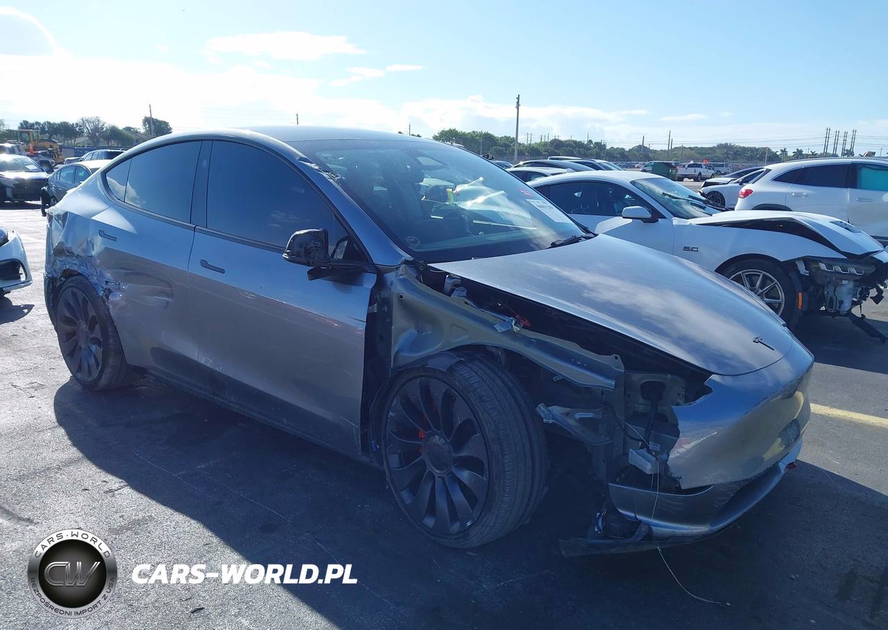 2024 Tesla Model Y Performance Dual Motor All-Wheel Drive