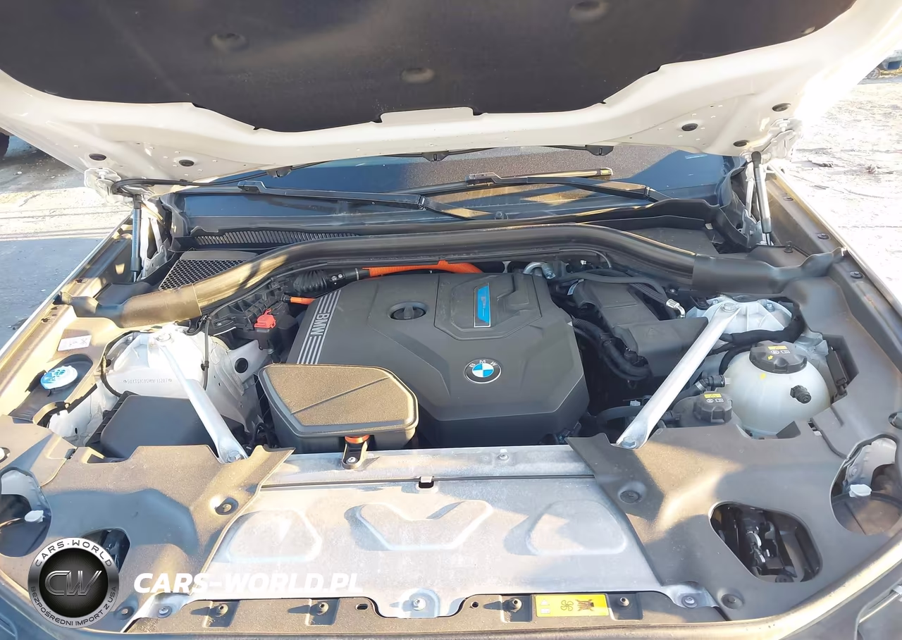 2021 BMW X3 Phev xDrive30E VIN:5UXTS1C05M9F13207 - 10