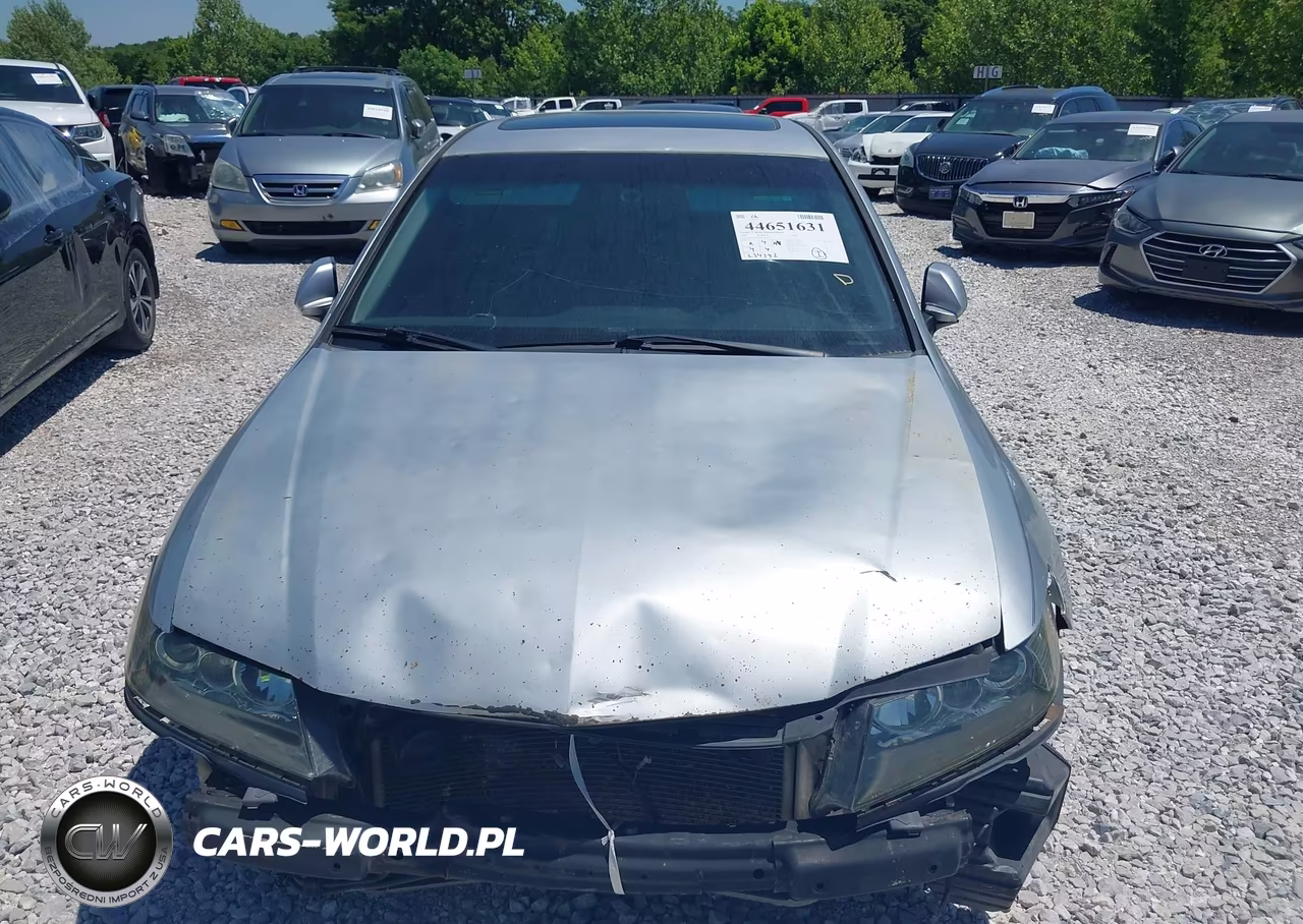 2008 Acura Tsx VIN:JH4CL96978C016946 - 13