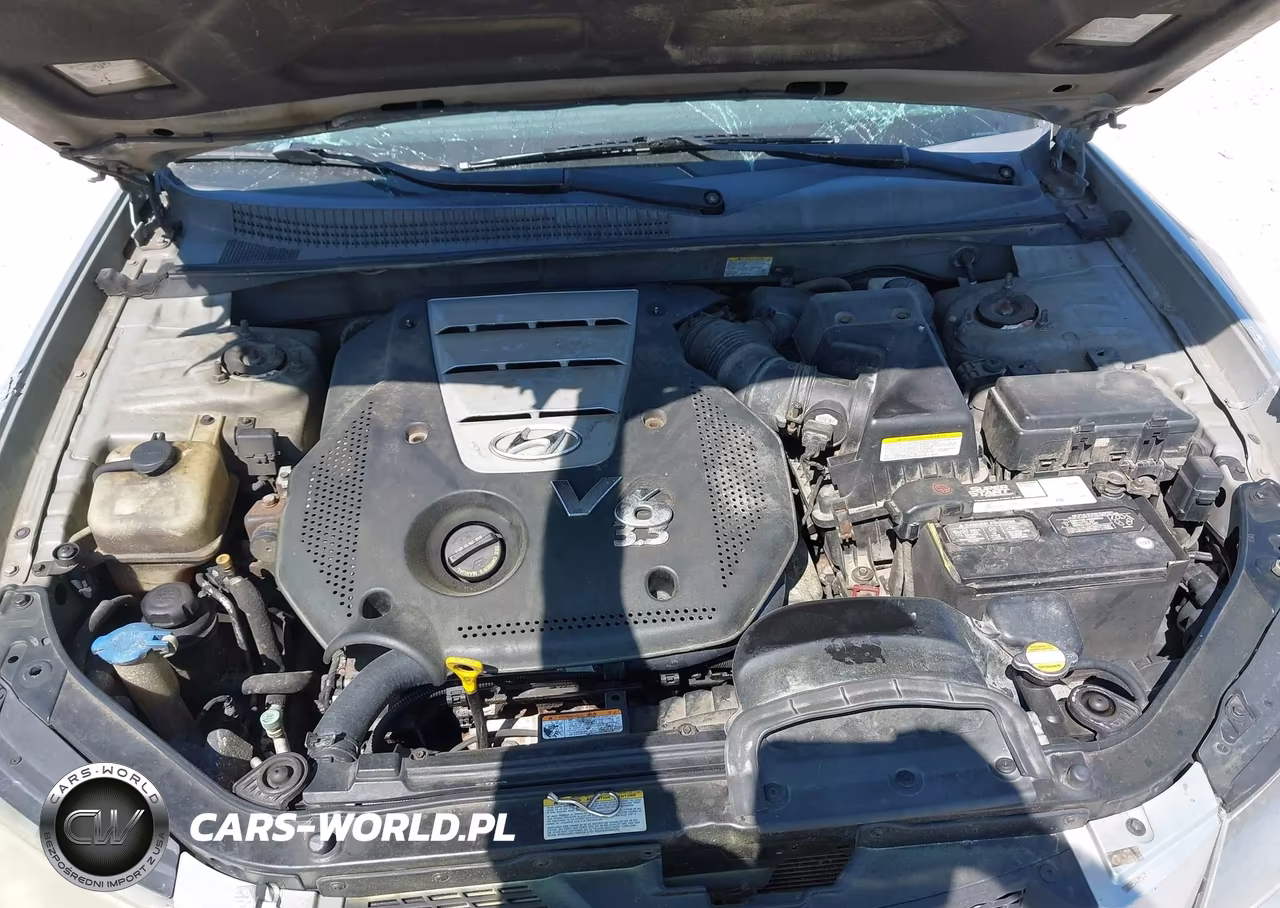 2006 Hyundai Sonata Gls V6-Lx V6 VIN:5NPEU46FX6H114712 - 10