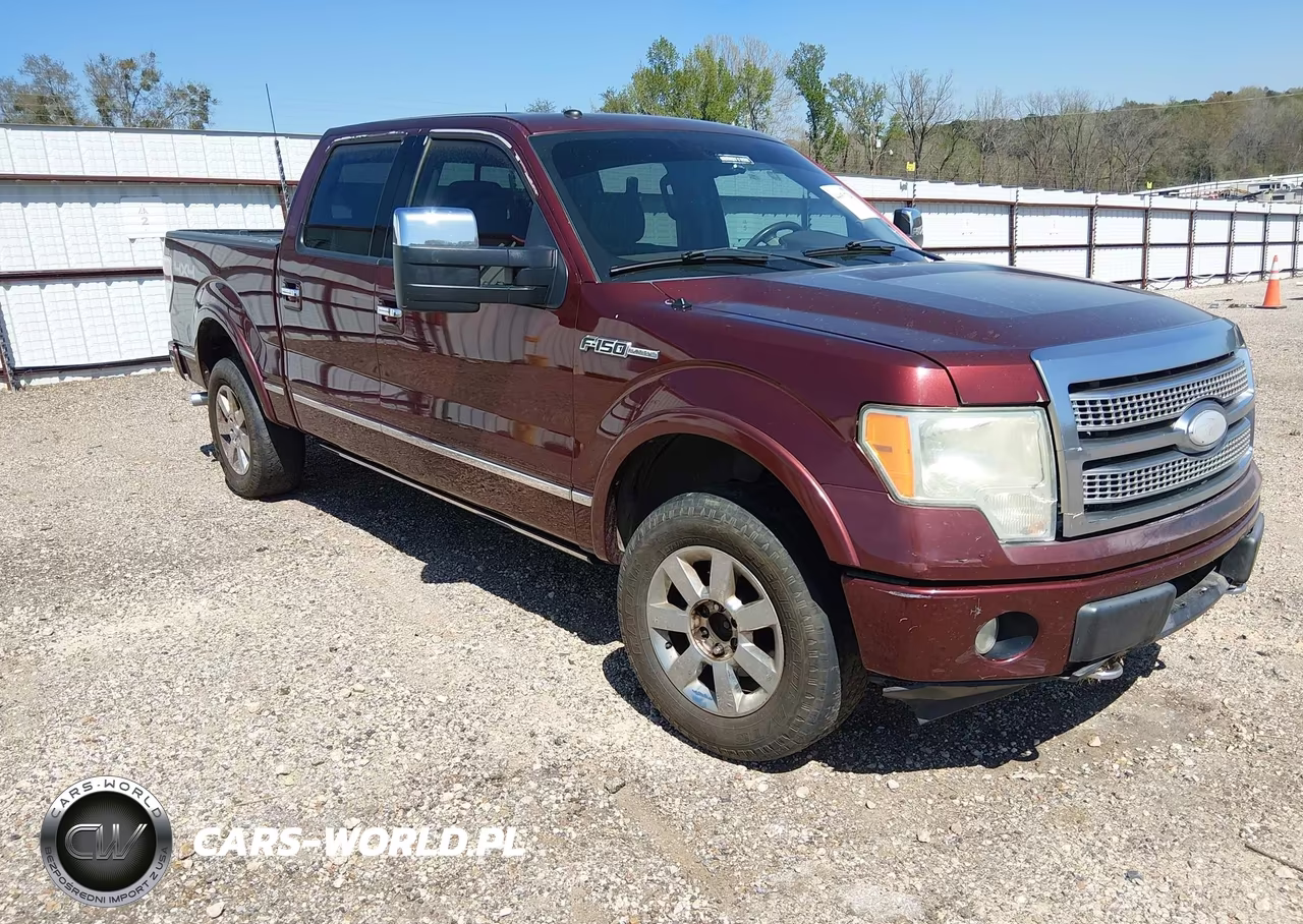 2009 Ford F-150 Fx4-King Ranch-Lariat-Platinum-Xl-Xlt