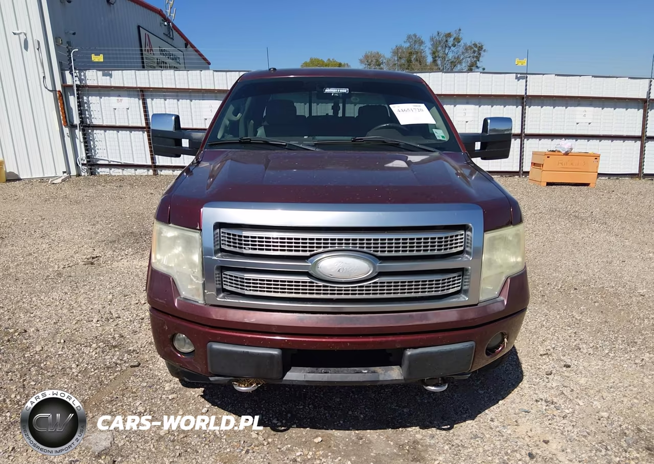 2009 Ford F-150 Fx4-King Ranch-Lariat-Platinum-Xl-Xlt VIN:1FTPW14V99FA00730 - 12