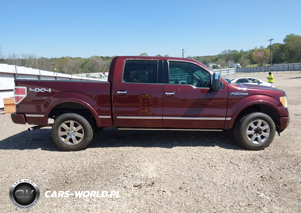 2009 Ford F-150 Fx4-King Ranch-Lariat-Platinum-Xl-Xlt VIN:1FTPW14V99FA00730 - 13