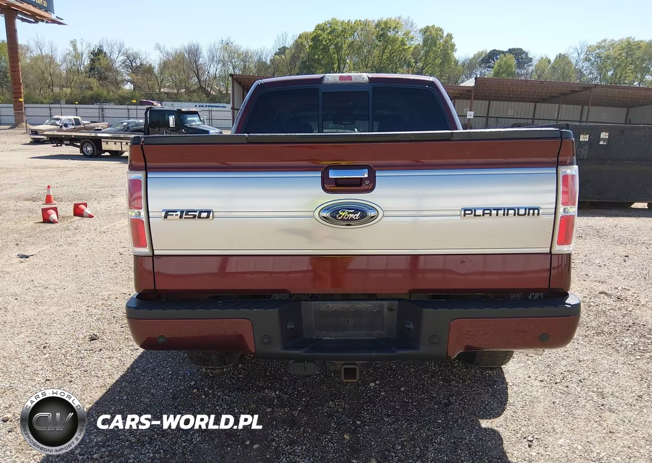 2009 Ford F-150 Fx4-King Ranch-Lariat-Platinum-Xl-Xlt VIN:1FTPW14V99FA00730 - 16