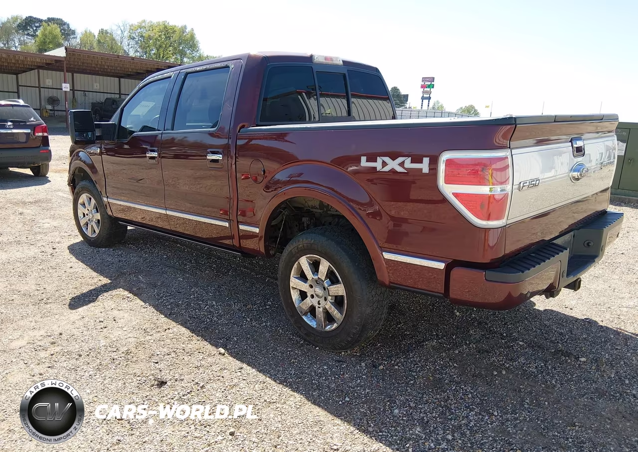 2009 Ford F-150 Fx4-King Ranch-Lariat-Platinum-Xl-Xlt VIN:1FTPW14V99FA00730 - 3