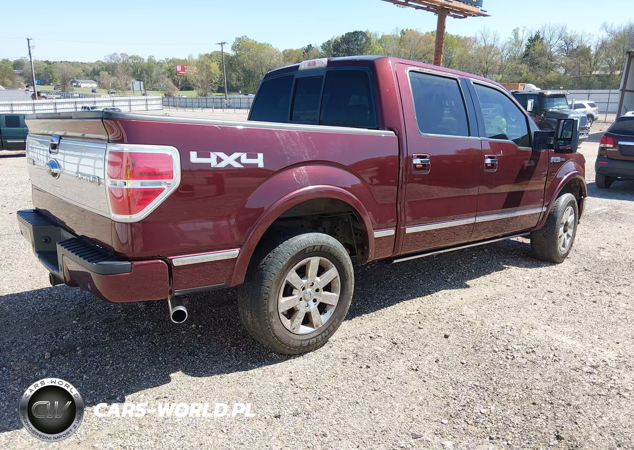 2009 Ford F-150 Fx4-King Ranch-Lariat-Platinum-Xl-Xlt VIN:1FTPW14V99FA00730 - 4