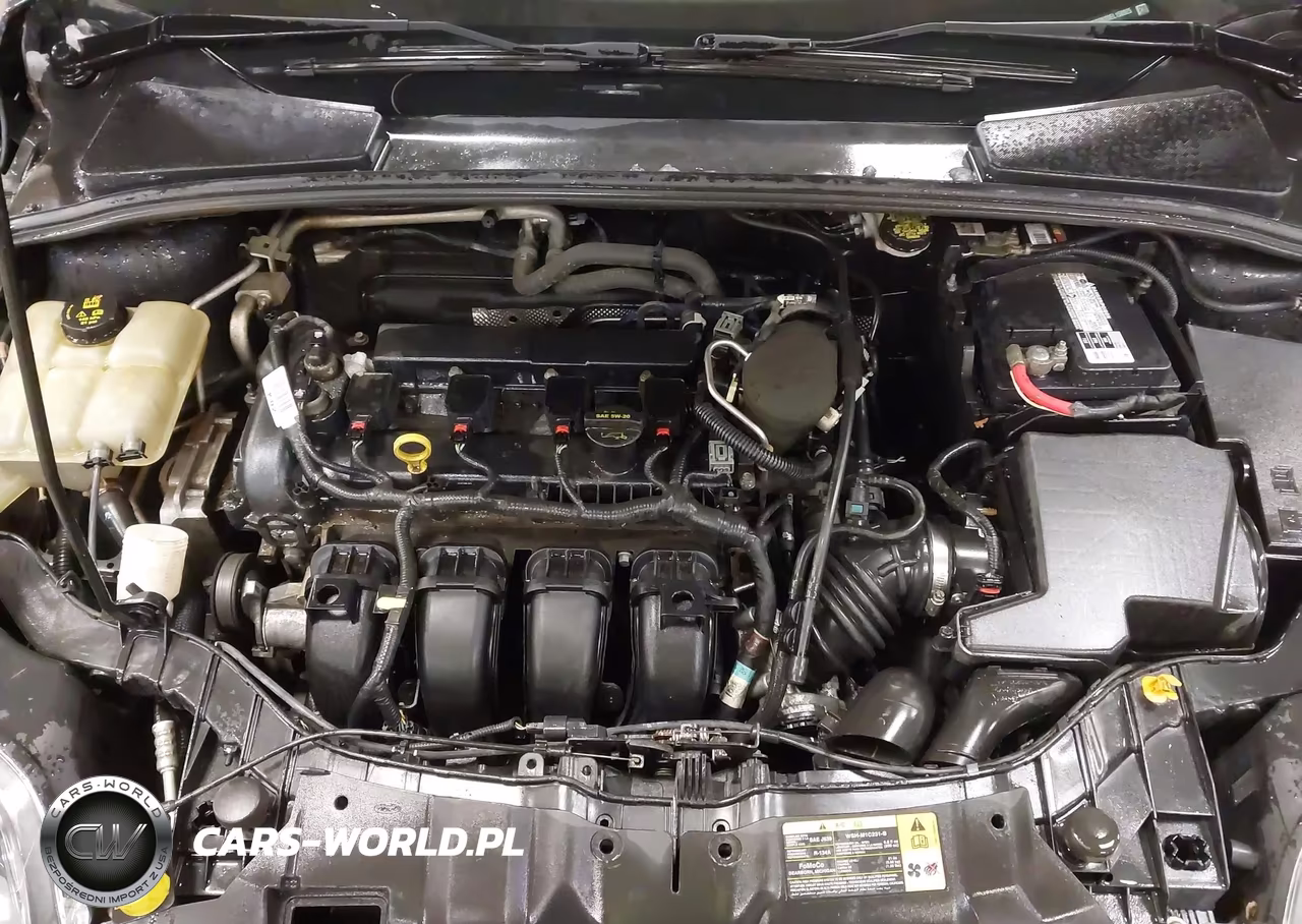 2014 Ford Focus Titanium VIN:1FADP3N20EL158925 - 10