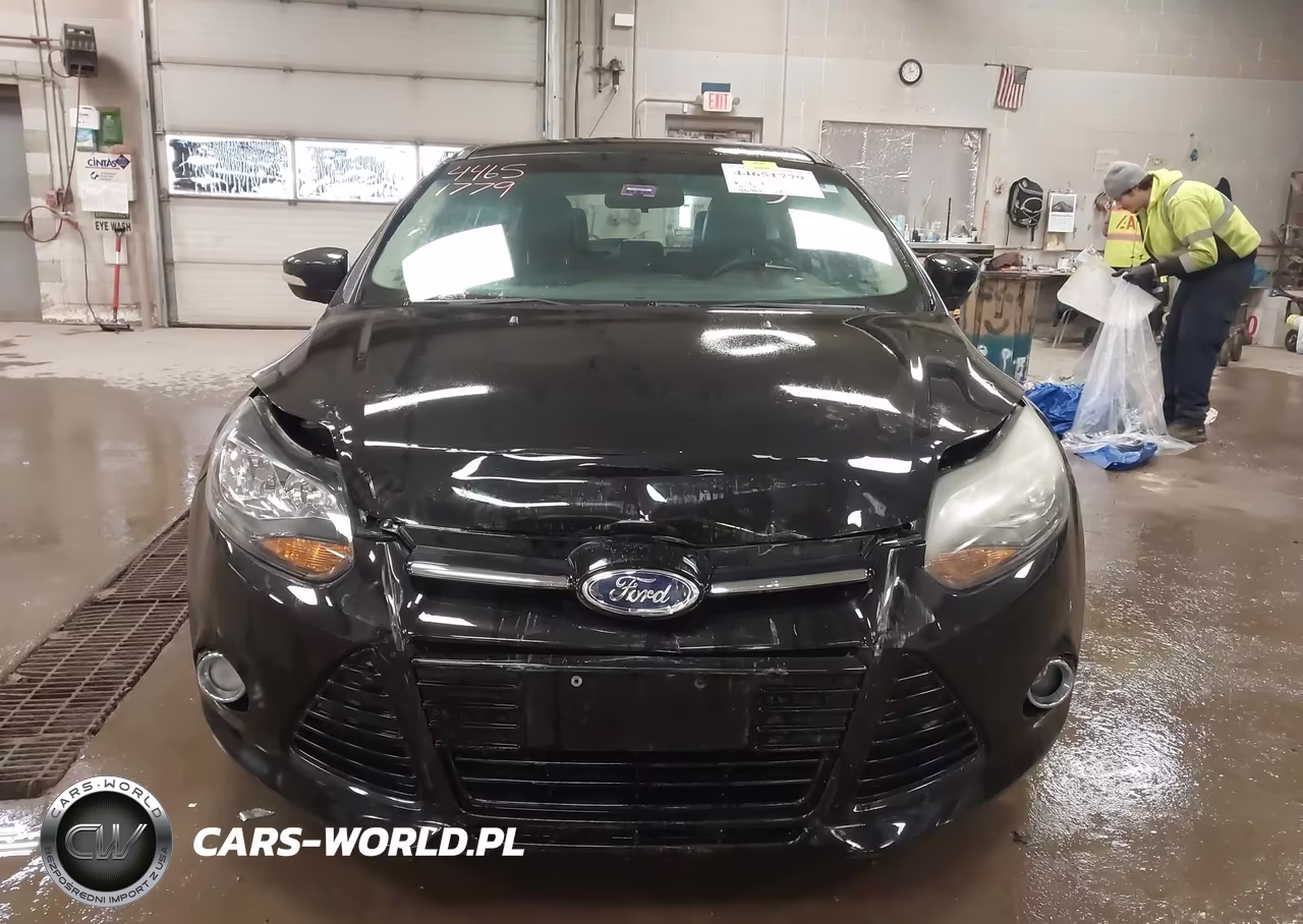 2014 Ford Focus Titanium VIN:1FADP3N20EL158925 - 12