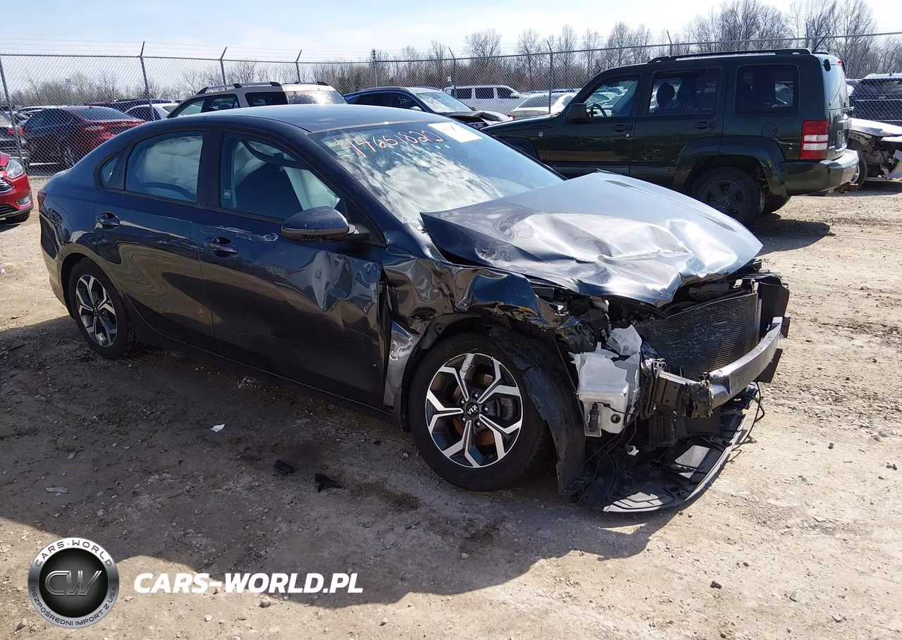 2019 Kia Forte Lxs