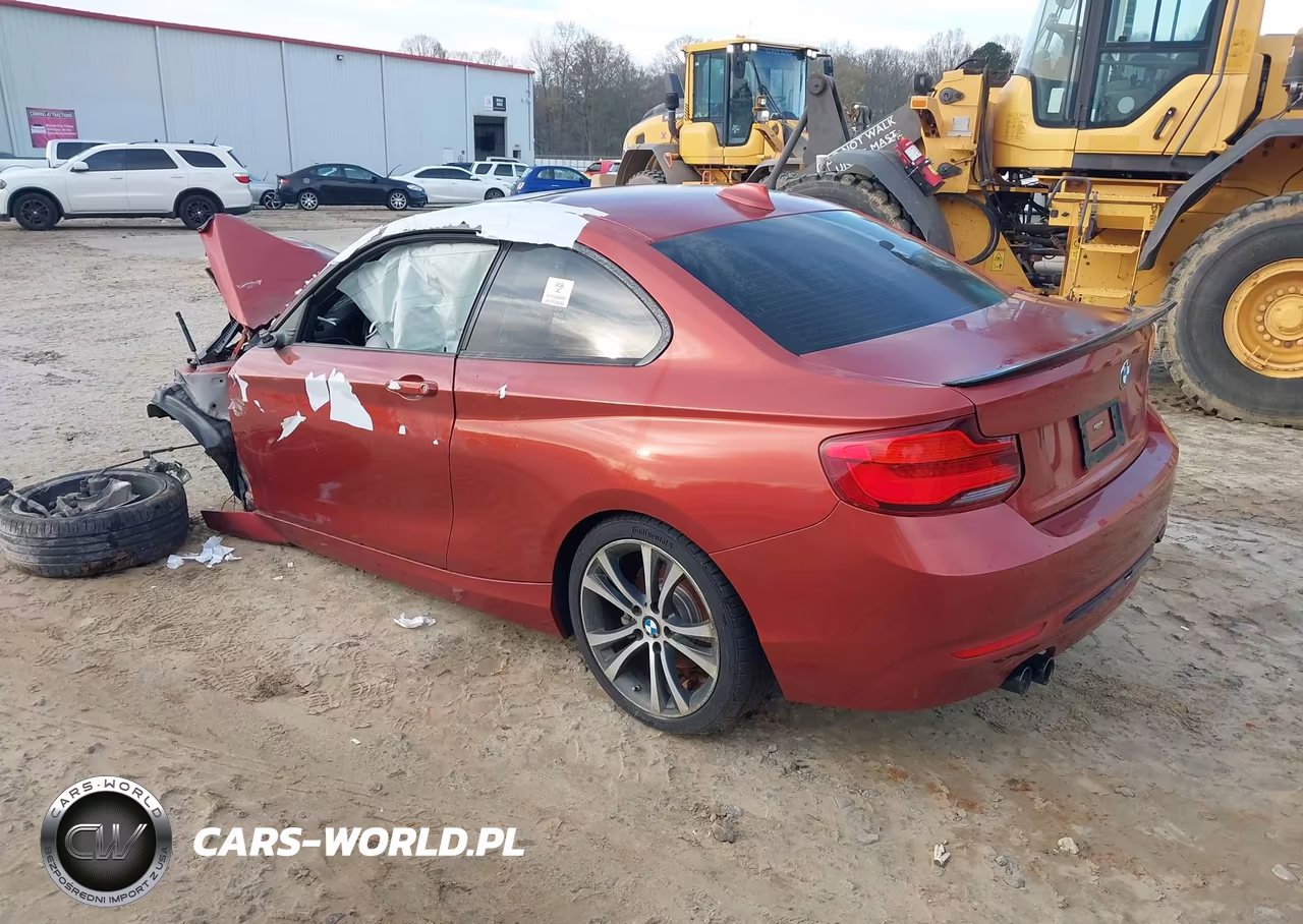 2018 BMW 230I VIN:WBA2J1C50JVD09135 - 3