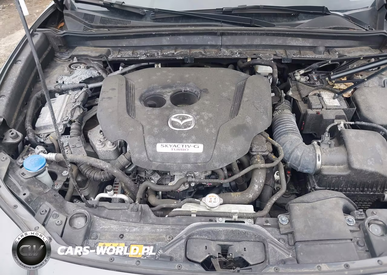 2023 Mazda Cx-30 2.5 Turbo Premium VIN:3MVDMBDY5PM546171 - 10