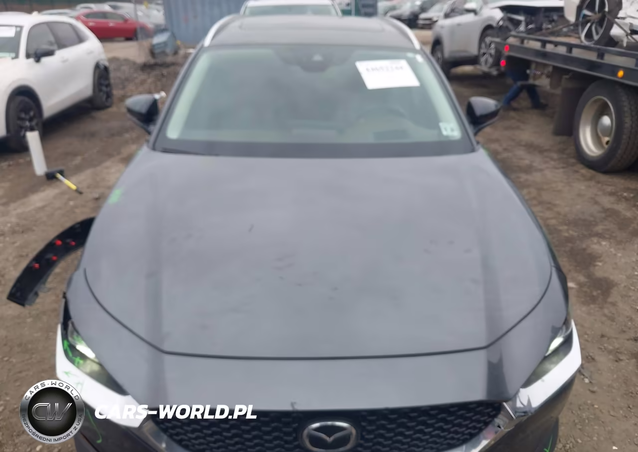 2023 Mazda Cx-30 2.5 Turbo Premium VIN:3MVDMBDY5PM546171 - 12