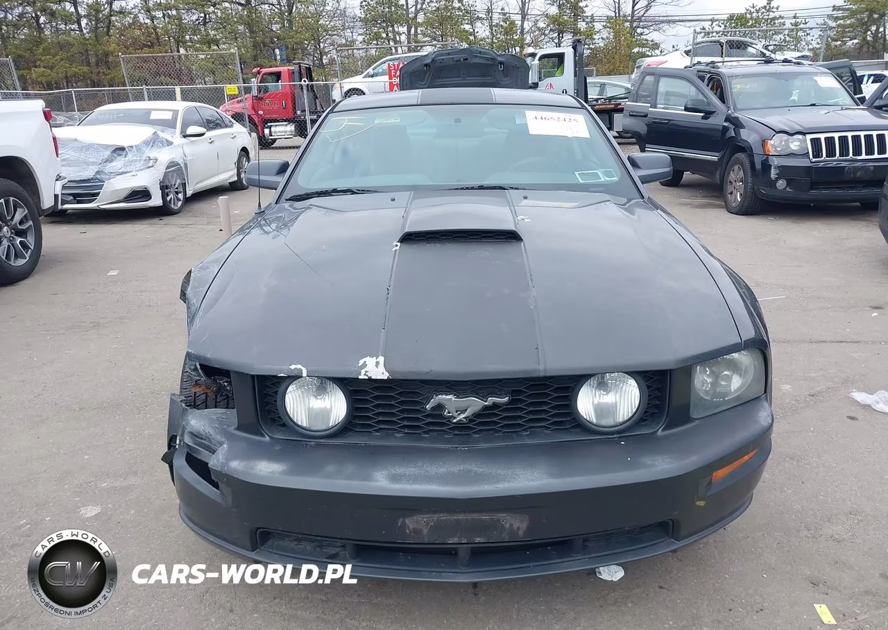 2008 Ford Mustang Gt Deluxe-Gt Premium VIN:1ZVHT82H585138642 - 12