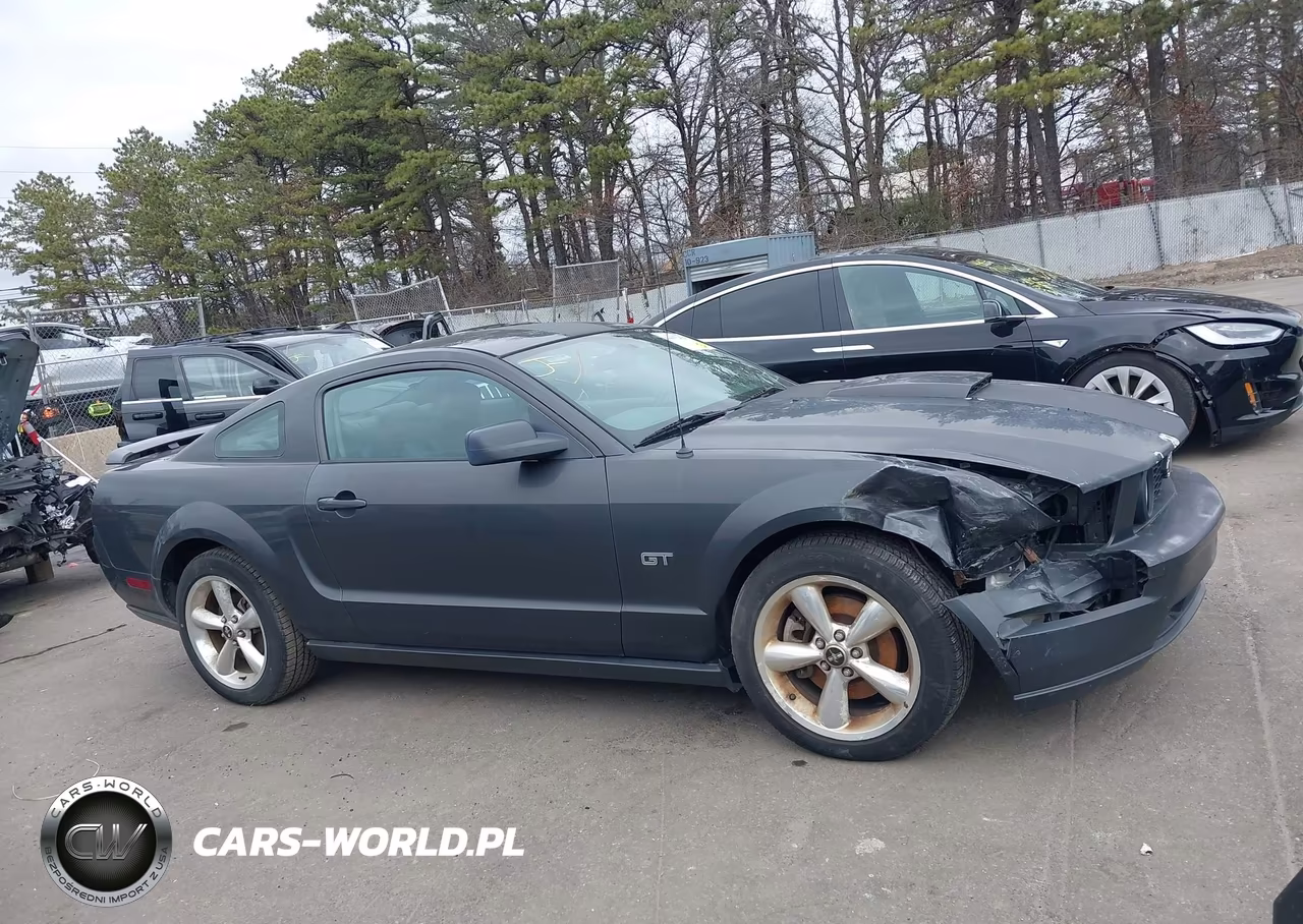2008 Ford Mustang Gt Deluxe-Gt Premium VIN:1ZVHT82H585138642 - 13