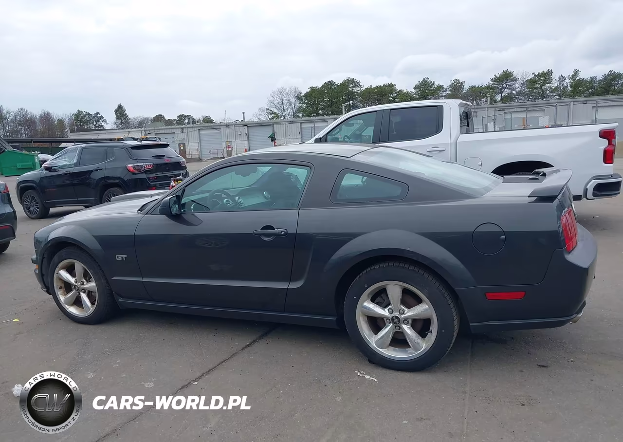 2008 Ford Mustang Gt Deluxe-Gt Premium VIN:1ZVHT82H585138642 - 14