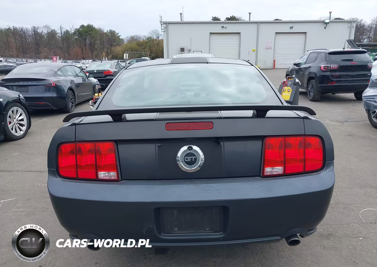 2008 Ford Mustang Gt Deluxe-Gt Premium VIN:1ZVHT82H585138642 - 16