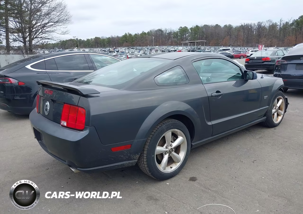 2008 Ford Mustang Gt Deluxe-Gt Premium VIN:1ZVHT82H585138642 - 4